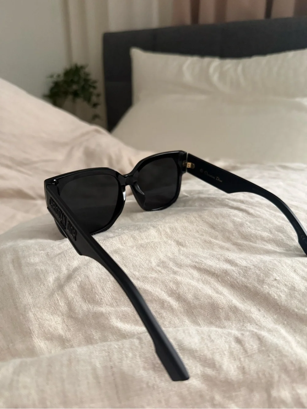 Dior wildior bu